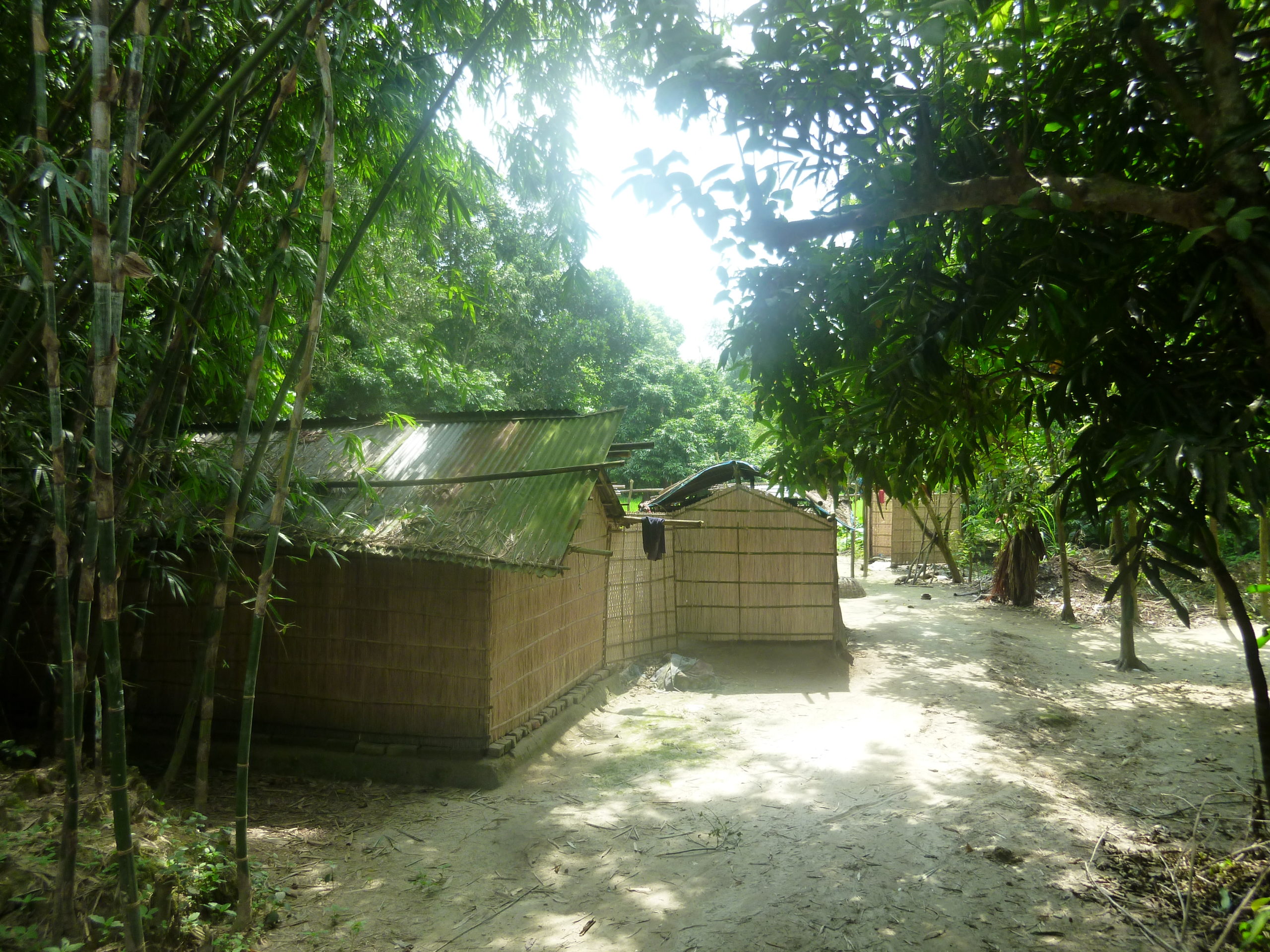 バングラデシュの農村3